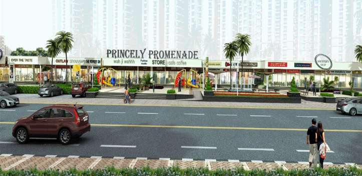 Amrapali princely estate commercial shops