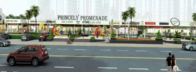 Amrapali princely estate commercial shops